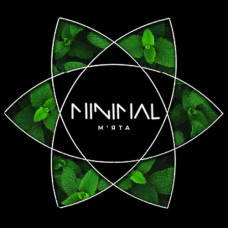 Тютюн для Кальяну MINIMAL 50 гр Mint (М'ята)