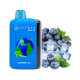 Одноразка Elf Bar RAYA D3 25000 Blueberry Ice — Чорниця Лід